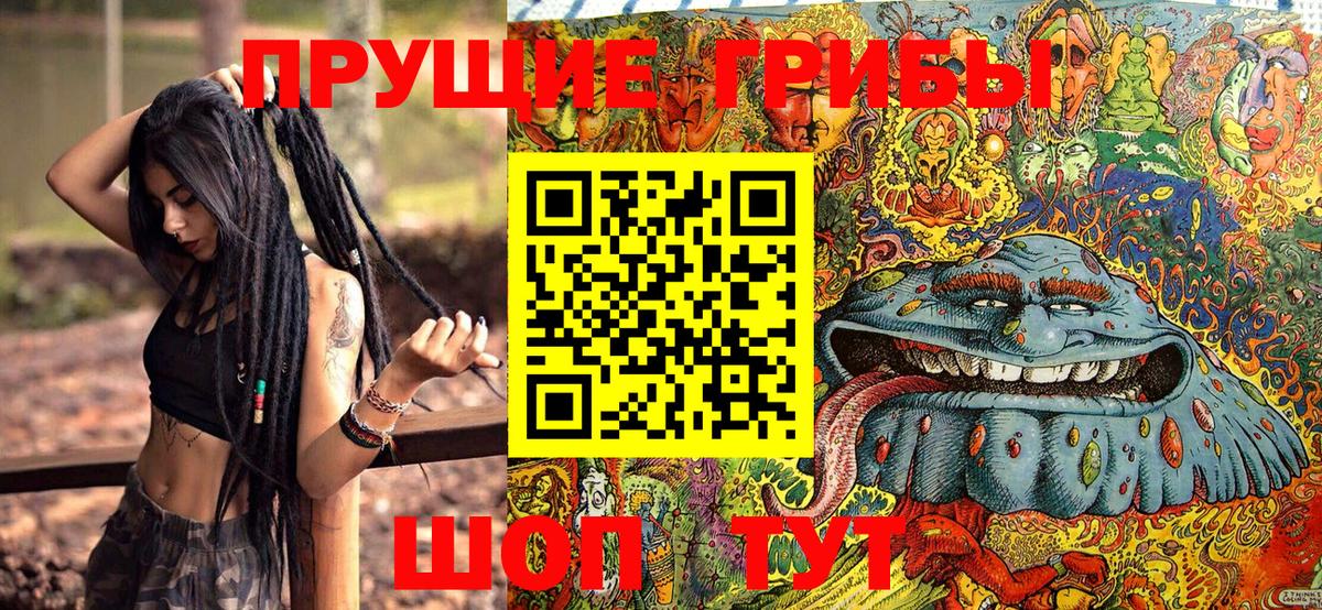 Псилоцибиновые грибы Cubensis Великие Луки