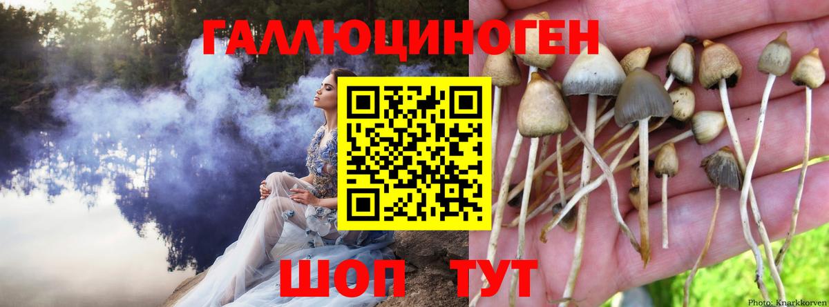 Галлюциногенные грибы мухоморы  Вход с VPN  Псилоцибиновые грибы ЛСД  Великие Луки 