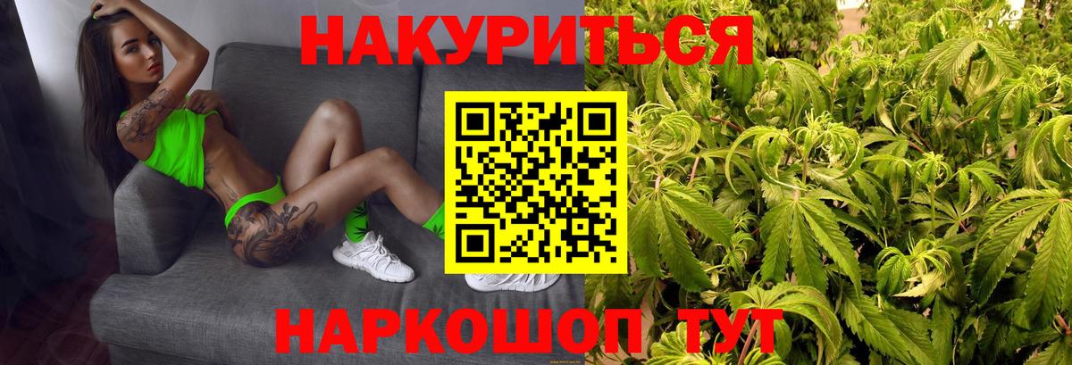 Великие Луки  Бошки Шишки планчик  Каннабис Ganja  Вход с VPN 